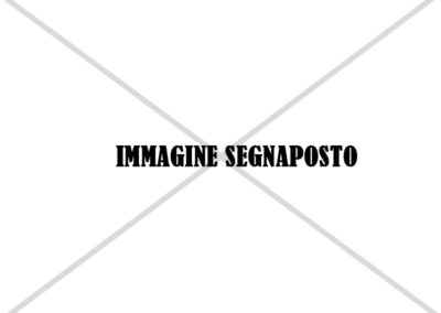 Immagine-Segnaposto